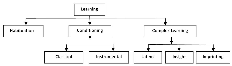 Animal Behaviour – NSSB Animal Behaviour – NSSB